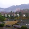 京都・嵐山の天龍寺の写真　イクリンブログ