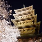 京都・東寺「夜桜と五重塔」イクリンブログ
