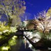 京都・東寺「夜景」イクリンブログ