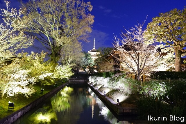 京都・東寺「夜景」イクリンブログ